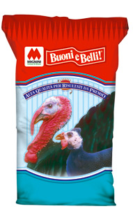 buoni_belli_sacco_volatili
