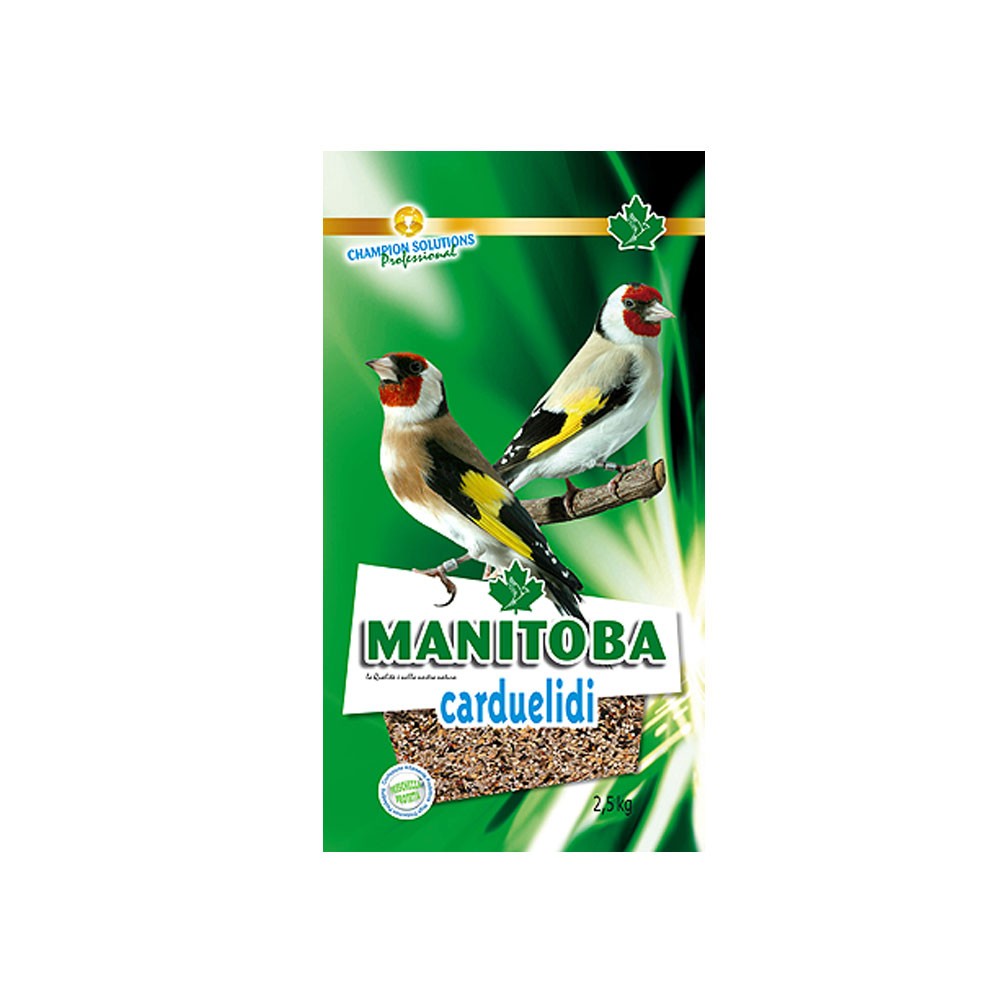 carduelidi-manitoba
