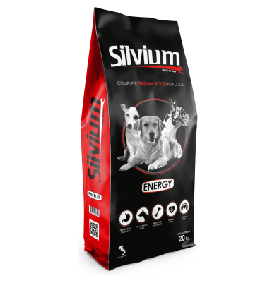 silvium-energy