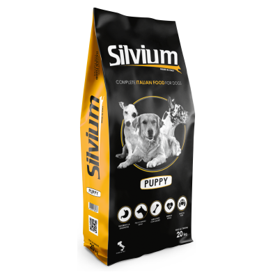 silvium-puppy
