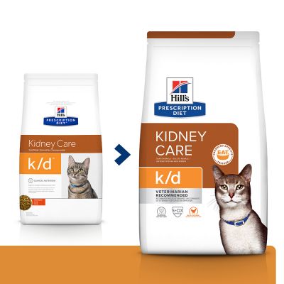 91_pd_kd_chicken_cat_bk24099m_transition_5
