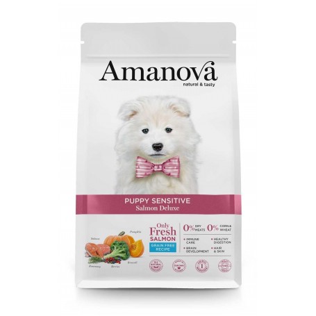 am-dog-puppy-salmone-2kg