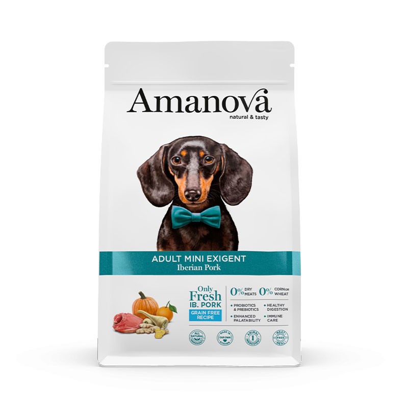 amv-adult-mini-exigent-iberian-pork-calabaza-2kg